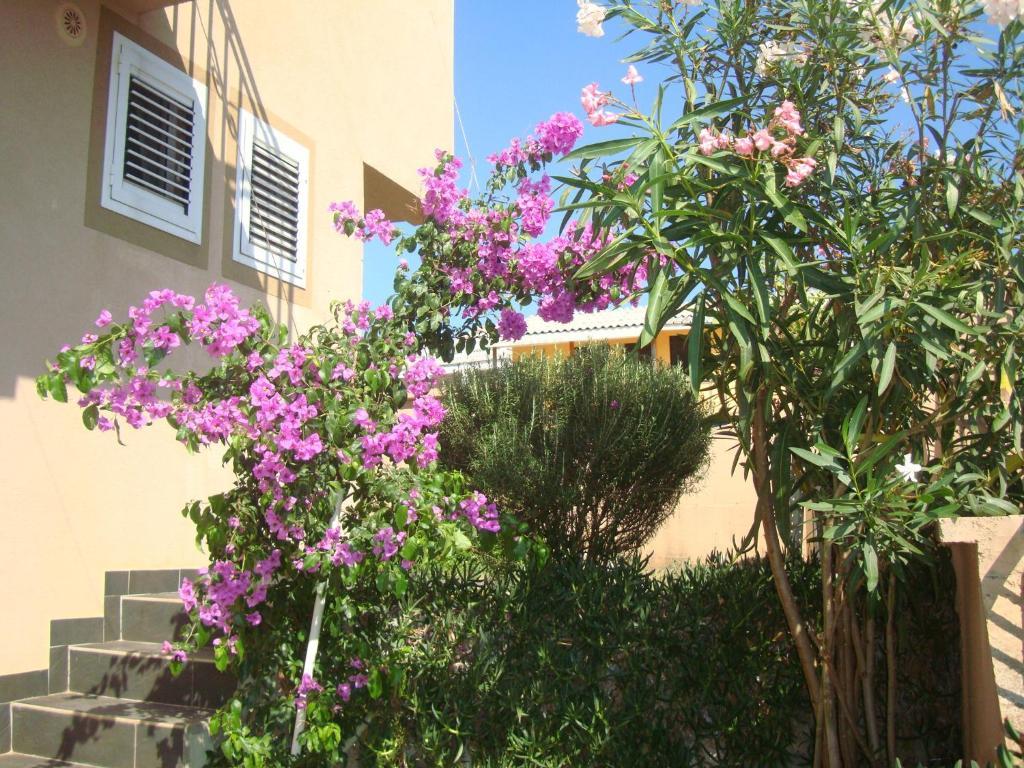 Apartments Mila Krimovice 部屋 写真
